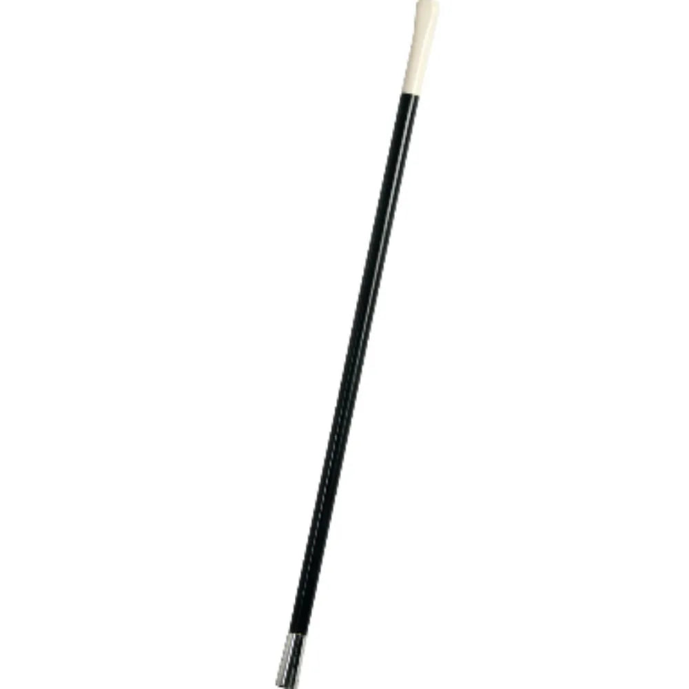 Porte Cigarette Époque Victorienne