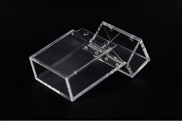 Étui Cigarette Transparent