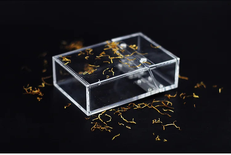 Étui Cigarette Transparent