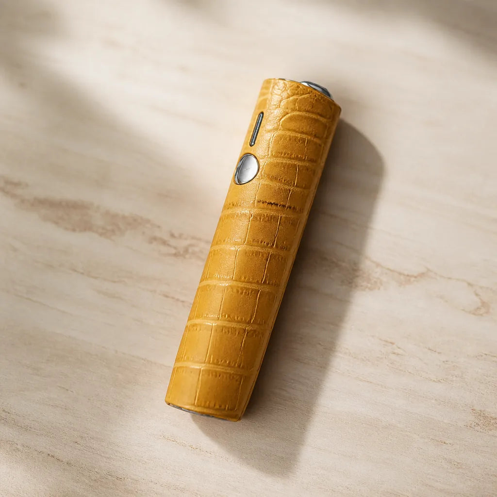 Etui A Cigarette Moderniste